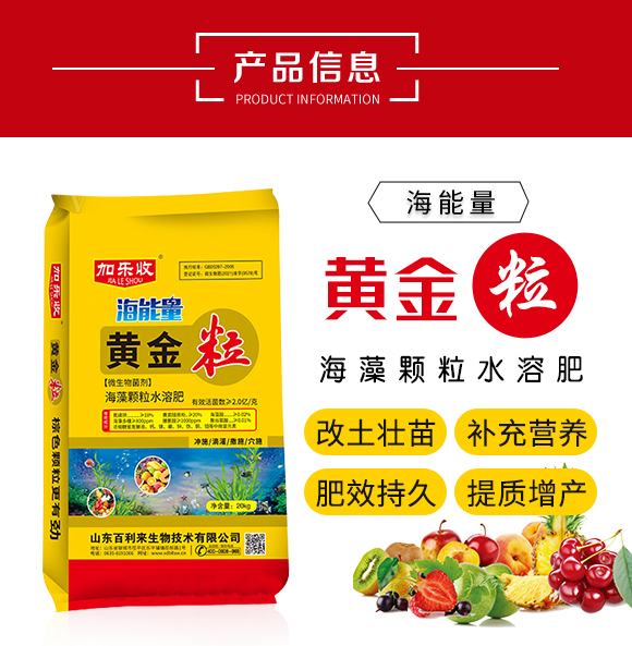 黃金粒-山東百利來(lái)生物_02