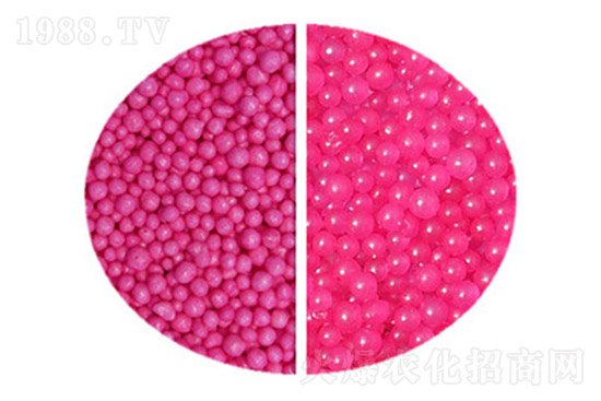 ���ض����Xһ�����������؃r������11��3��