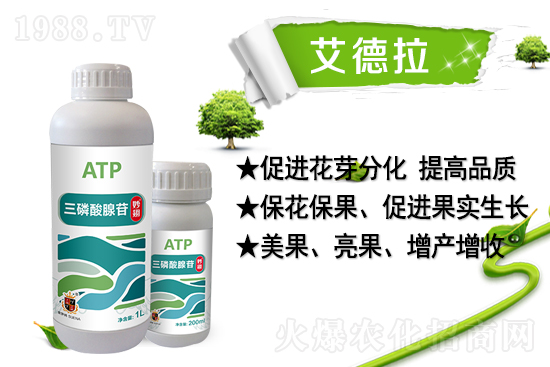 ���r(n��ng)���W(w��ng)ϲӭ���������������𱬁��u��