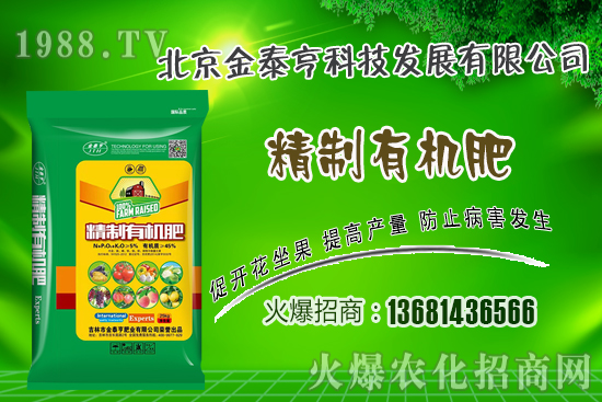 春季草莓該如何管理?草莓肥水管理技術(shù)!