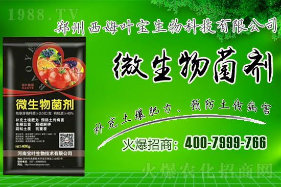 春季適合露地栽培的蔬菜品種有哪些？有哪些種植注意事項(xiàng)？