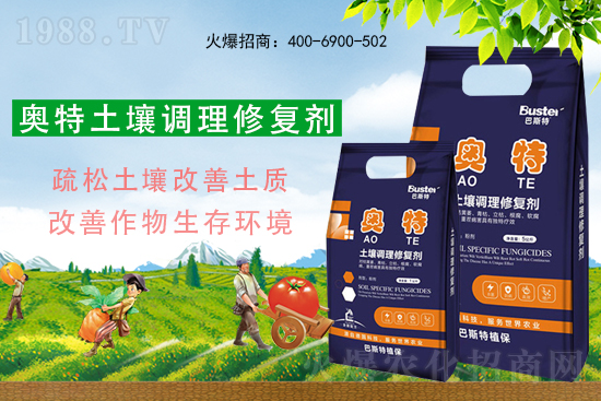 土壤板結、病害不斷惡化,如何擺脫惡性循壞?