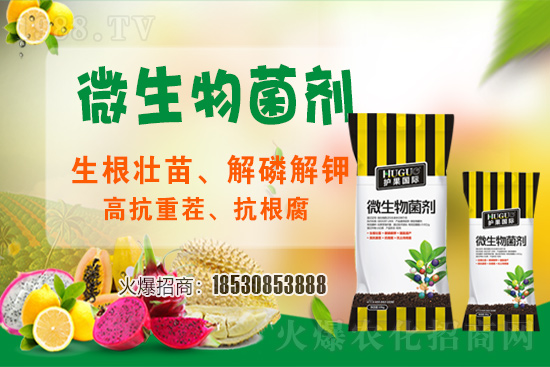 ��ݮ�����F(xi��n)���l���l(f��)������ҪԴ��ʲô������