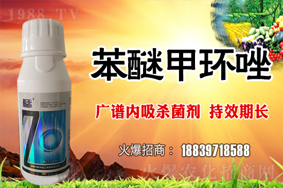 倒春寒風(fēng)險加大，如何做好冬小麥防護(hù)工作？