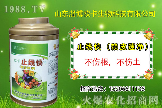 歐卡生物再簽1988.TV，力求實現(xiàn)企業(yè)騰飛夢！