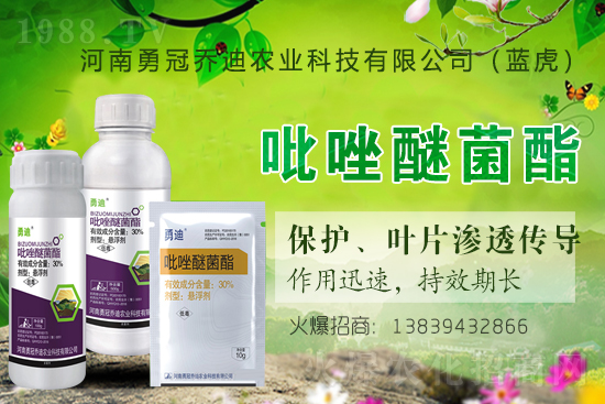 �����������¹چ̵ϣ��{�����ٺ�1988.TV������(chu��ng)���x����