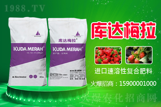 原料上漲，2021年6月2日復合肥漲勢如何？