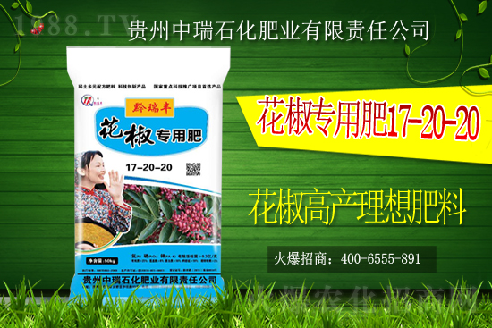     ����ʯ���ʘI(y��)�𱬁��u���ٺ����r(n��ng)�����̾W(w��ng)���_��(chu��ng)���x����