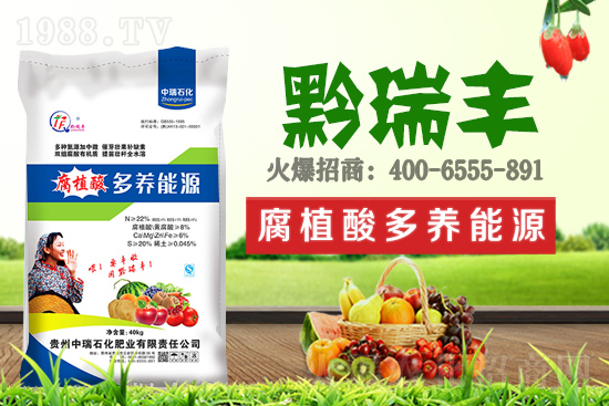     ����ʯ���ʘI(y��)�𱬁��u���ٺ����r(n��ng)�����̾W(w��ng)���_��(chu��ng)���x����