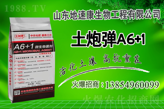    �����Pϵ�����A��ɽ�|���ٿ��c1988.TV�_����ƪ����