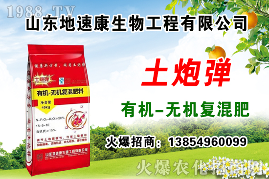    �����Pϵ�����A��ɽ�|���ٿ��c1988.TV�_����ƪ����