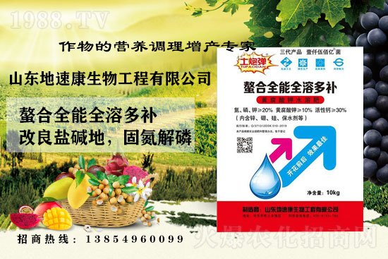    �����Pϵ�����A��ɽ�|���ٿ��c1988.TV�_����ƪ����