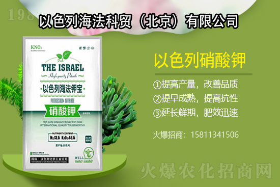 ⛷ʃr���q��2021��7��13��⛷ʃr�������Ո�