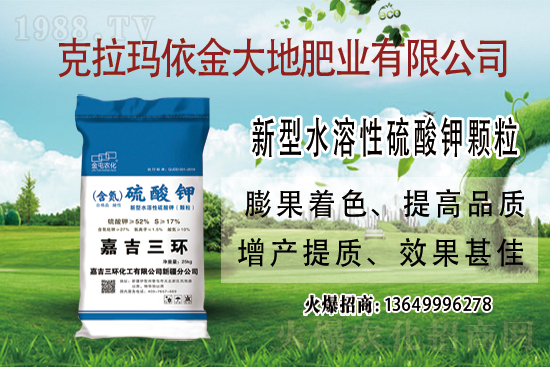 鉀肥市場(chǎng)保持堅(jiān)挺走勢(shì)！今日鉀肥價(jià)格走勢(shì)及交易日評(píng)