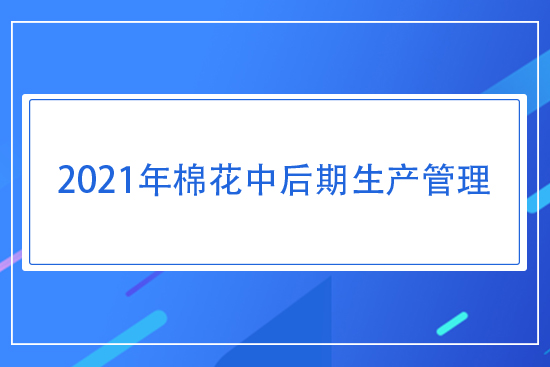 2021���޻��к������a(ch��n)����ָ��(d��o)��Ҋ(ji��n)
