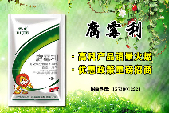 2021��7��23���O���������r���Ո�