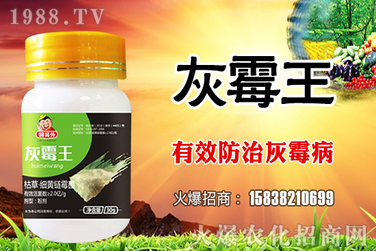 2021��7��24�������������r��