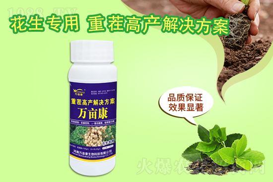 二銨暫穩(wěn)為主，20219月10日磷銨價格行情報價