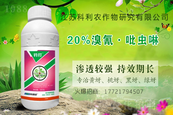 ���x���r��