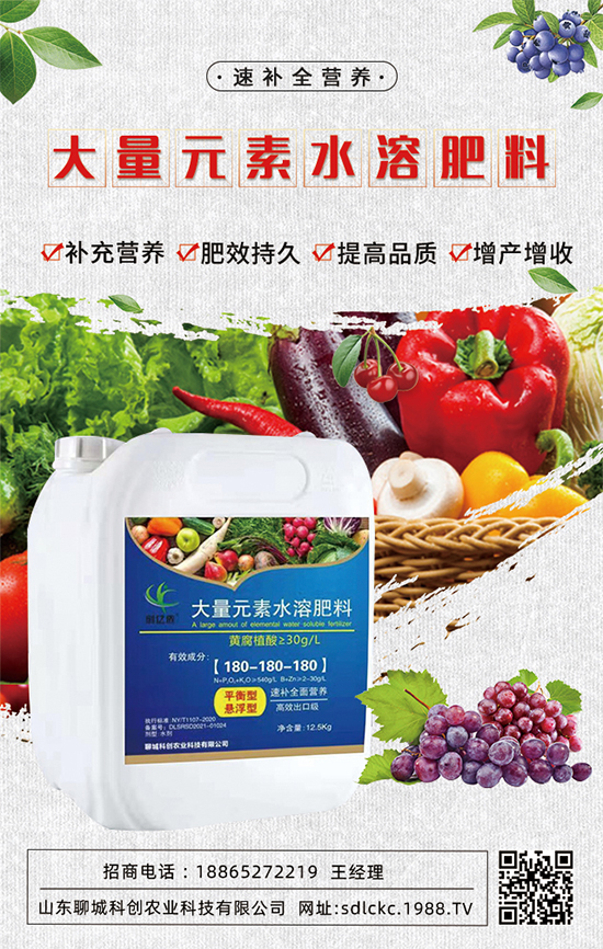 山東聊城科創(chuàng)再簽1988.TV，共謀合作促雙贏！