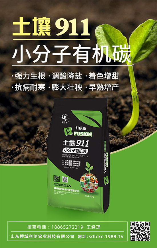 山東聊城科創(chuàng)再簽1988.TV，共謀合作促雙贏！