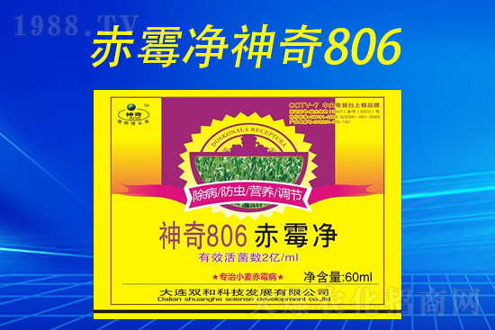 合作再升級(jí)！大連雙和科技再簽1988.TV，共創(chuàng)新輝煌！