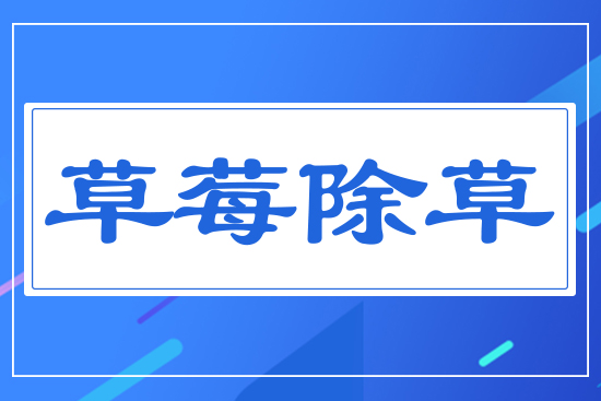 ��ݮ����