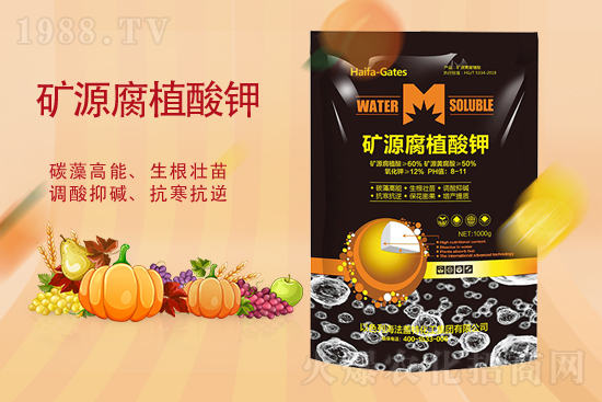 鉀肥價格能再漲嗎？2月19日各地鉀肥價格