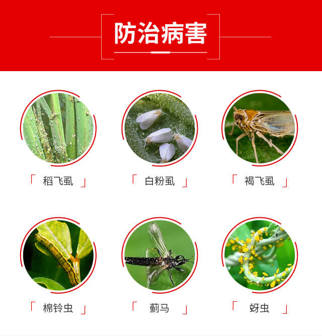 噻蟲(chóng)·高氯氟-藍(lán)虎品牌_04