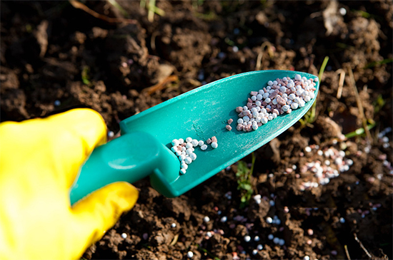 �ذ������ߌóɶ��N�I(y��)���[�����n11��18��