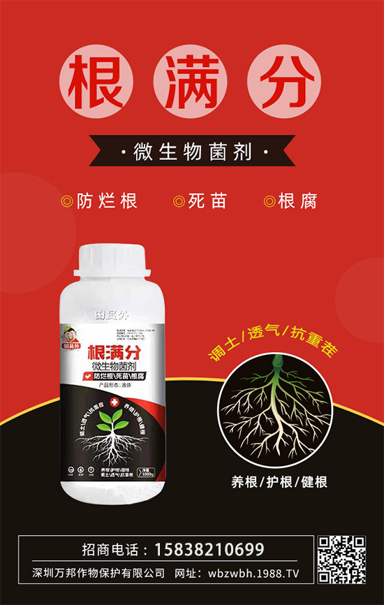 作物死苗爛根多，發(fā)育不良怎么辦！如何拯救作物根系？