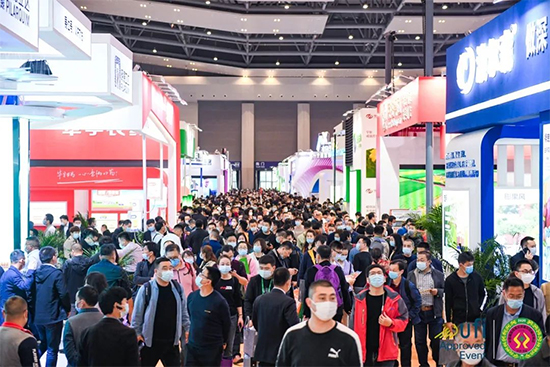 ��37��ȫ��ֲ���p����������}