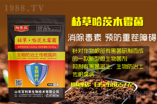 根腐病爆發(fā)怎么防治,根腐病用什么藥好防治效果好?
