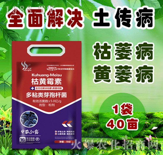     細菌性病害有哪些？防治藥劑怎么選？一篇文章說明白