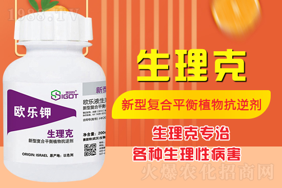 番茄臍腐病有什么癥狀？怎么解決番茄臍腐??？