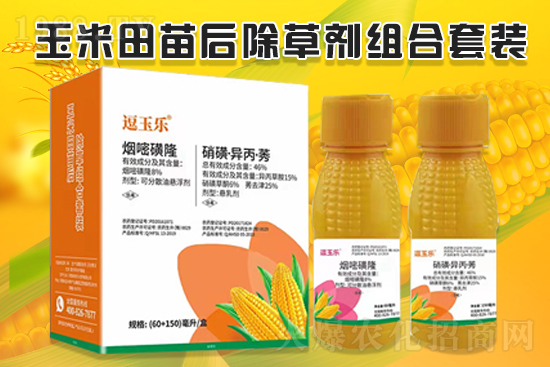 玉米除草效果差，什么原因？玉米除草劑怎么選？
