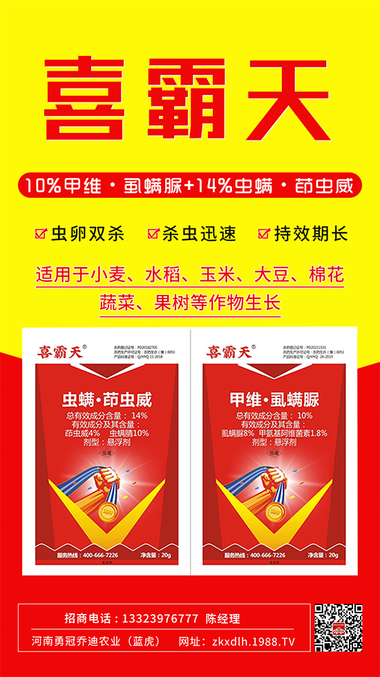 小菜蛾、菜青蟲危害重太難打?這樣用藥!一打一個準!