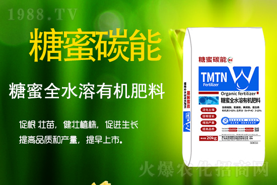 作物如何生根壯根、促花保果呢?學會這些事半功倍!
