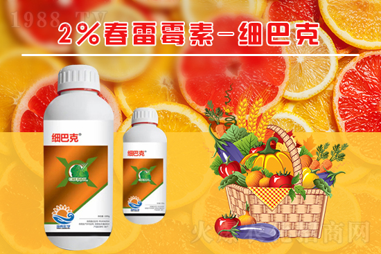 番茄潰瘍病怎么辦？聽聽專家怎么說！