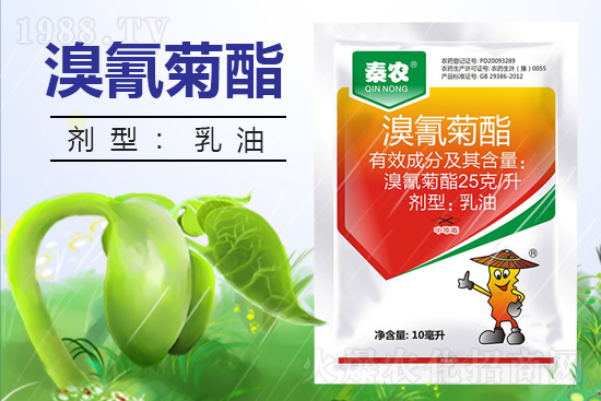 ������ˎ������������߀Ҫ��᣿