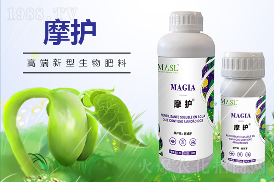 黃瓜苗期管理，需要注意哪些問題？