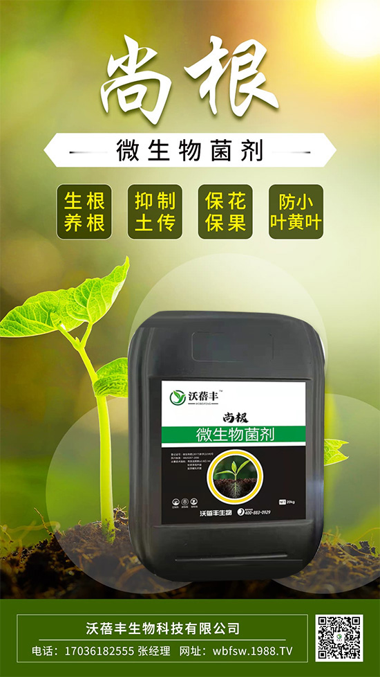 怎么才能讓作物生根壯根呢?這樣做讓作物生根到底!