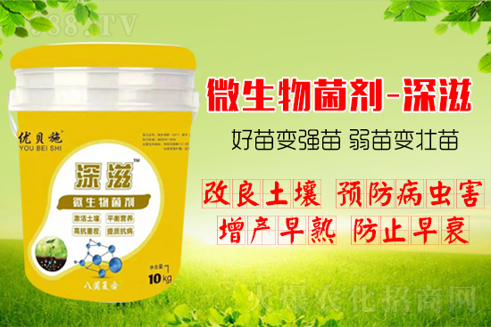 ������α��l(f��)ʽ�������������B(y��ng)�������������