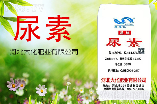 尿素到底能不能做葉面肥？怎么用？