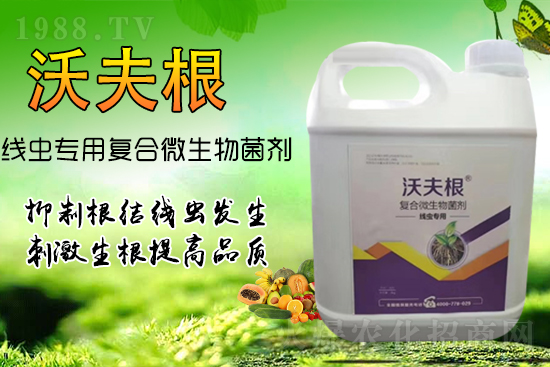 根結線蟲侵染作物根部?教你幾招,不反彈效果更!