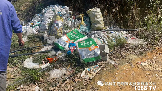 走進(jìn)田間地頭，助力柑橘產(chǎn)業(yè)