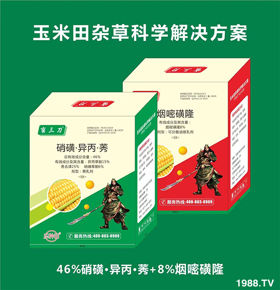     玉米花生是夏季的主要農(nóng)作物，種植面積大，產(chǎn)量高，效益好，但雜草防治卻令農(nóng)民朋友十分頭疼，既害怕藥害，又害怕防治效果不好。