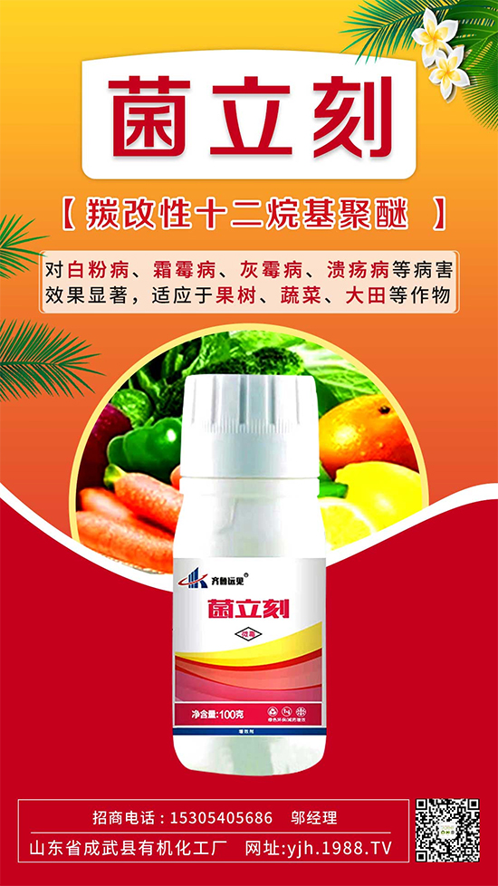 葡萄霜霉病還是白粉病？別再傻傻分不清了！如何分辨及防治？