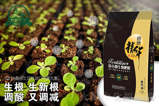 西瓜裂瓜怎么預防？了解這些西瓜滾滾品質高！