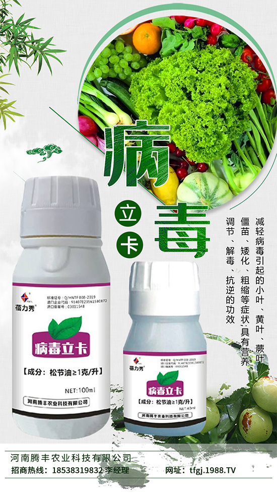     病毒病一種是由植物病毒寄生引起的病害。種類少、危害大，易得難治。在侵染蔬菜植株后會(huì)與蔬菜爭(zhēng)奪生長(zhǎng)必需的養(yǎng)分，同時(shí)會(huì)影響植株的養(yǎng)分傳輸，抑制光合作用的進(jìn)行